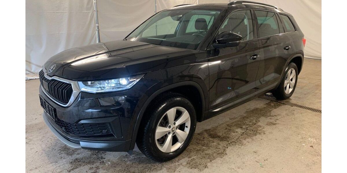 Skoda Kodiaq 125.000 km 22.490 &euro; Steinbach-Hallenberg OT Herges-Hallenberg 98587