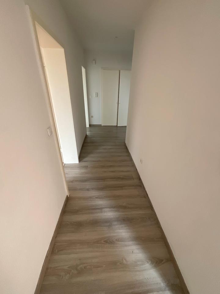 2 Zimmerwohnung mit Balkon zu sofort frei! zimmer