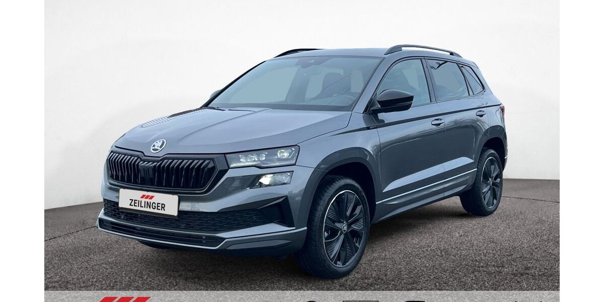 Skoda Karoq 1.100 km 34.975 &euro; Dietersheim 91463