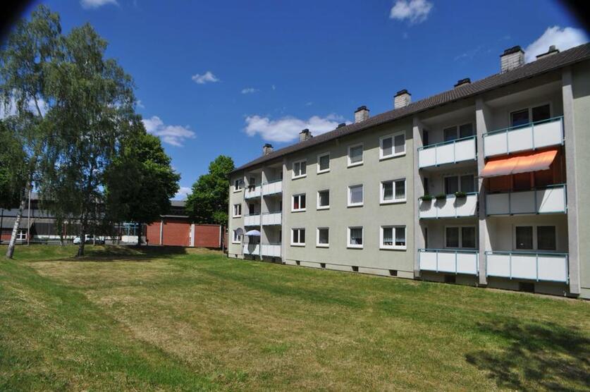 Mehrere Wohnungen zu vermieten zimmer