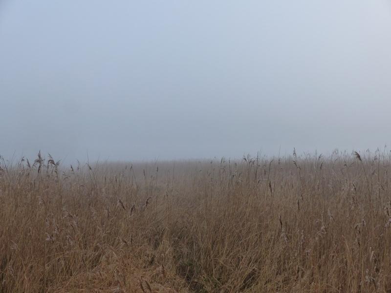 Auktion - Wasserfläche und Uferbereich ‚Der runde See‘ in der Uckermark - Vertragsfrei