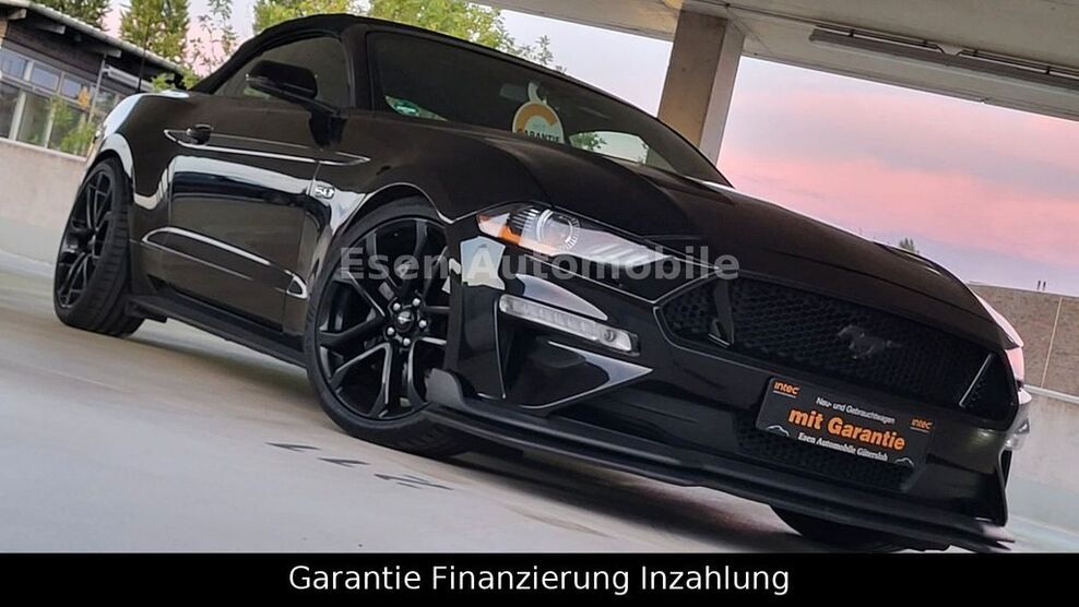 Mustang