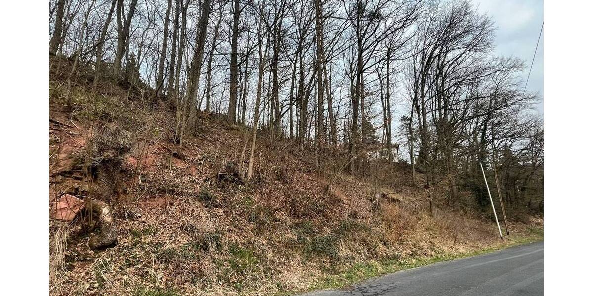 Bauplatz in Unterebersbach, OT zimmer