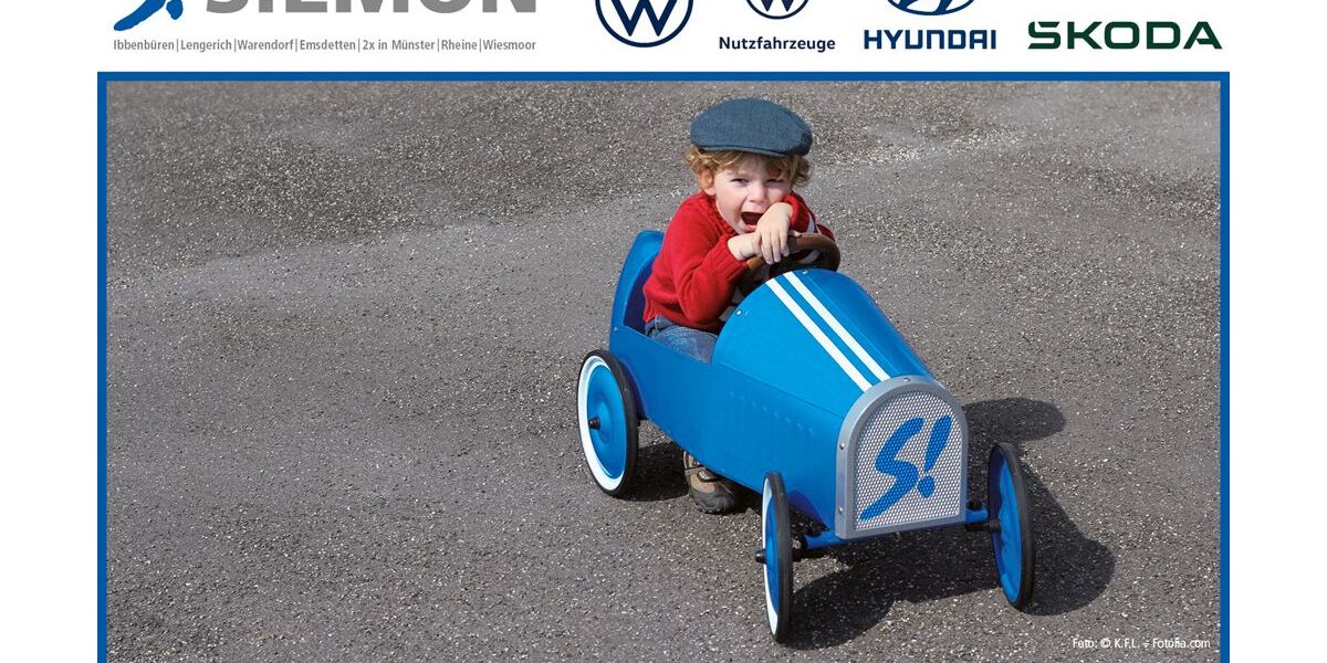 Skoda Fabia 59.142 km 16.930 &euro; Münster 48157