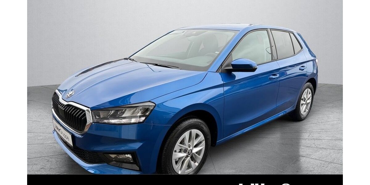 Skoda Fabia 1.998 km 18.580 &euro; Daun 54550