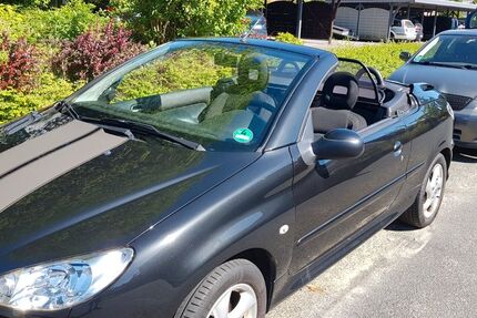 Peugeot 206 170.000 km 1.750 &euro; Schwarzenbek 21493