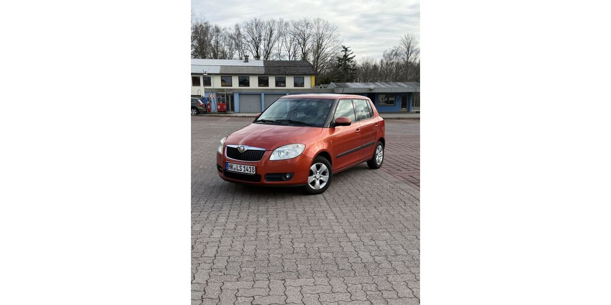 Skoda Fabia 160.000 km 4.980 &euro; Munster 29633