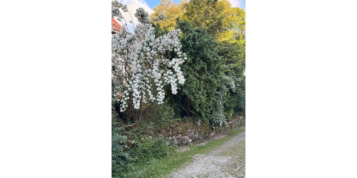 Einfamilienhaus Brücken - 8 Zimmer, 280 m&sup2;, 585.000&euro; | Angebot:26877828