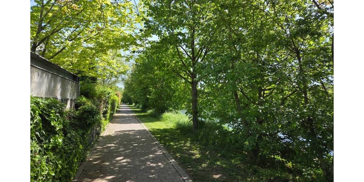 Etagenwohnung Ilvesheim - 5 Zimmer, 120 m&sup2;, 1.400&euro; | Angebot:26410146