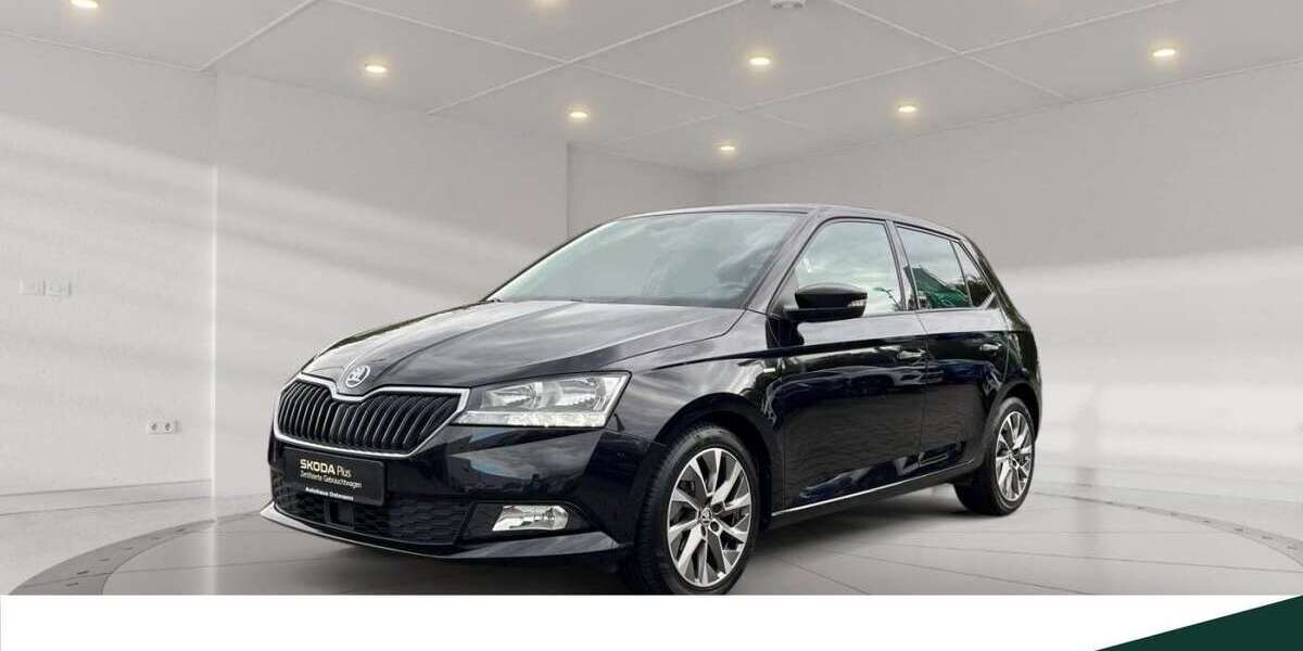 Skoda Fabia 60.449 km 13.750 &euro; Niestetal 34266