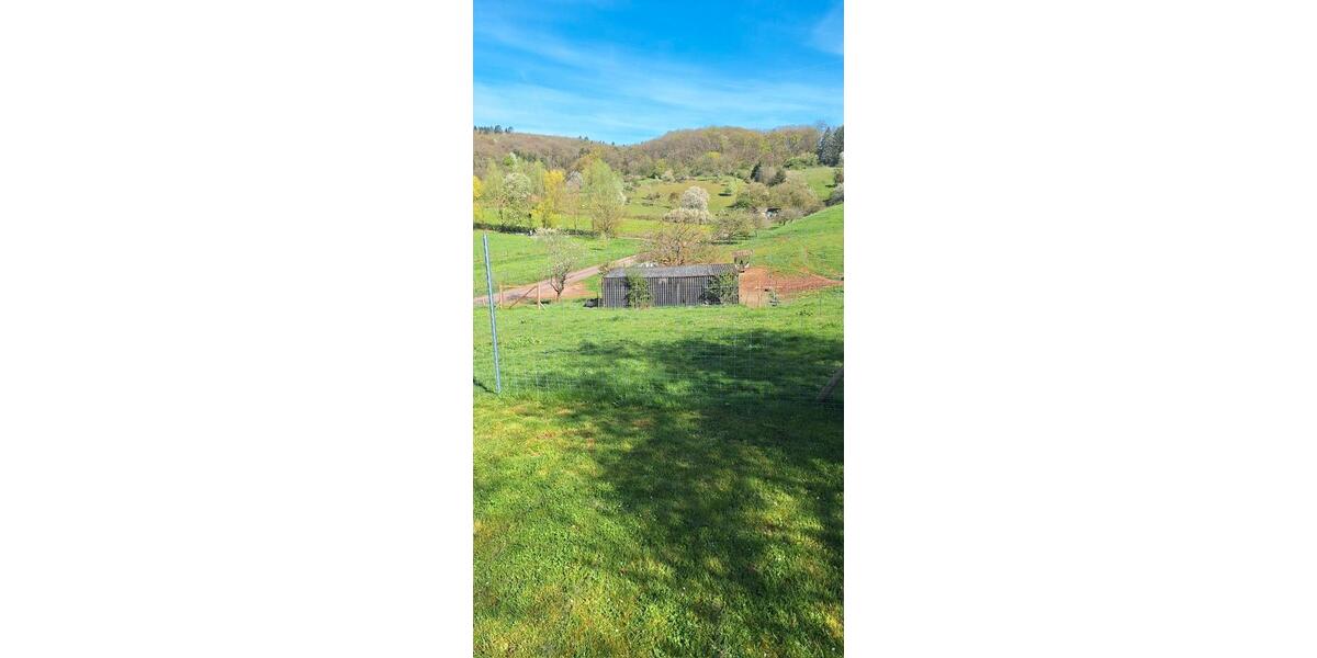 Bungalow Bausendorf - 5 Zimmer, 143 m&sup2;, 1.300&euro; | Angebot:26368367