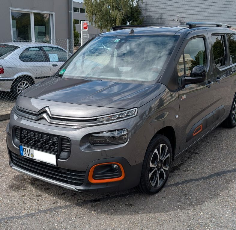 Berlingo