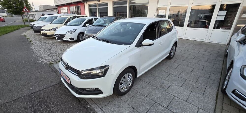 Polo