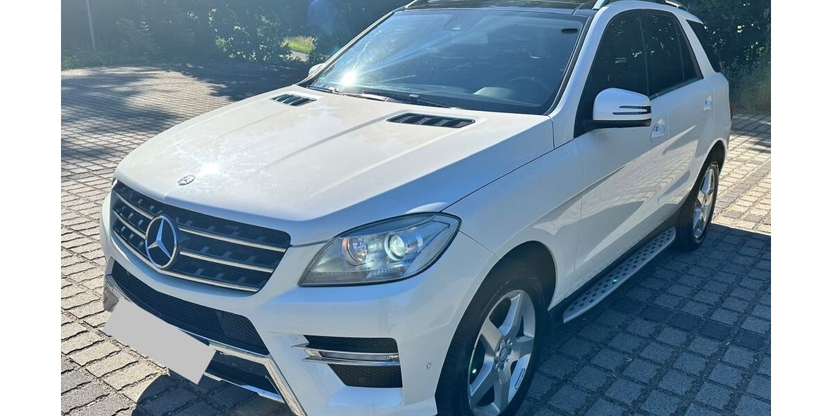 Mercedes-Benz ML 350 305.985 km 15.250 &euro; Östringen 76684