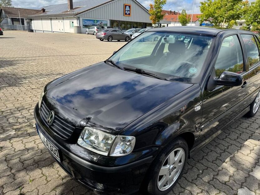 Polo