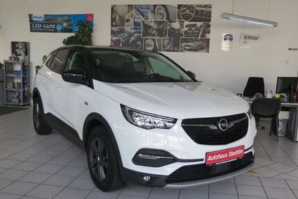 Opel Grandland (X) 41.100 km 19.900 € Stadtilm 99326