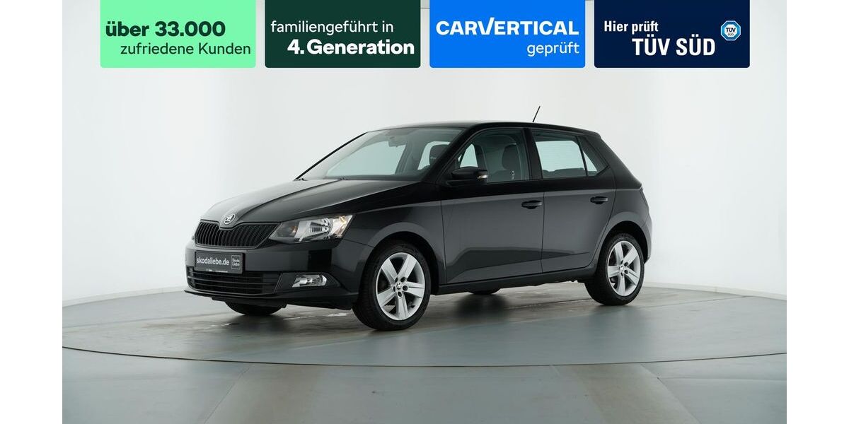 Skoda Fabia 124.879 km 6.890 &euro; Sangerhausen 06526