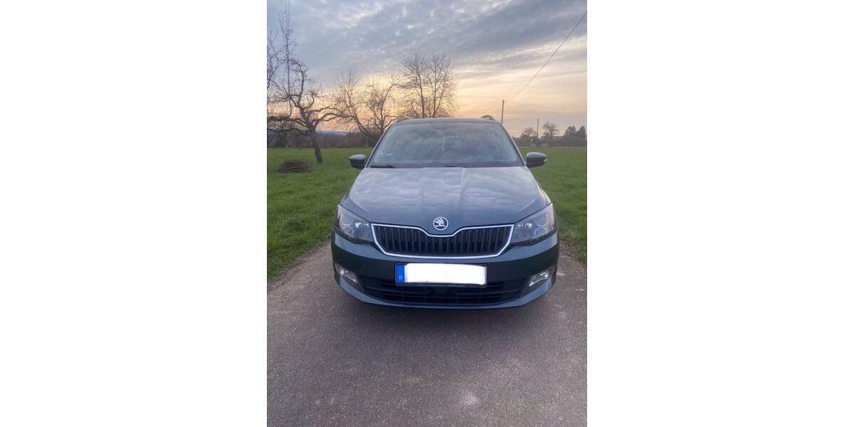 Skoda Fabia 180.200 km 7.000 &euro; Karlsbad 76307
