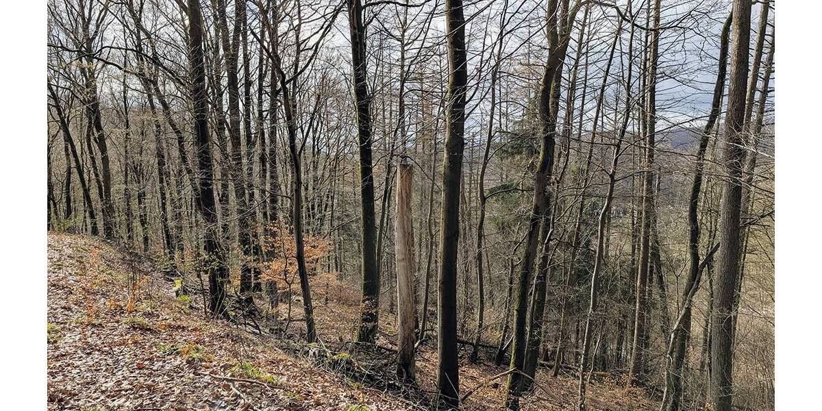 Grundstück Bad Lauterberg im Harz - 6.000&euro; | Angebot:26246309