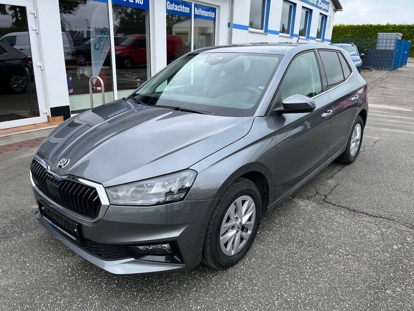 Skoda Fabia 19.162 km 17.990 € Tessin 18195