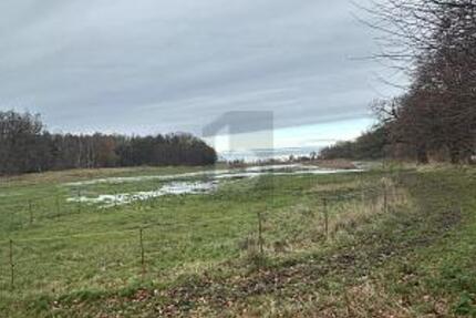 EINZIGARTIG UND NATURBELASSEN MIT BAUGRUNDSTÜCK zimmer
