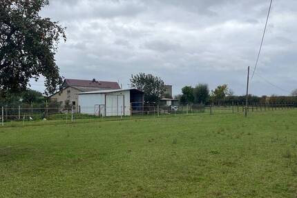 1.090 m² Baureifes Land in 04886 Nichtewitz zimmer