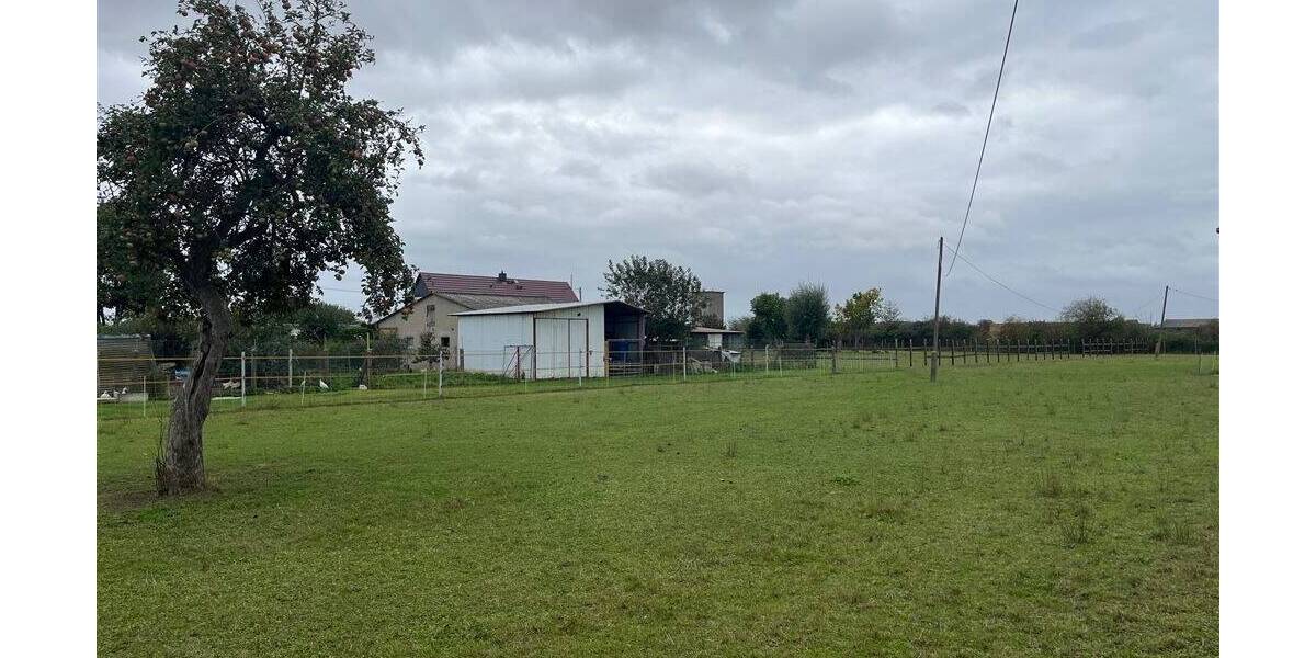 1.090 m² Baureifes Land in 04886 Nichtewitz zimmer