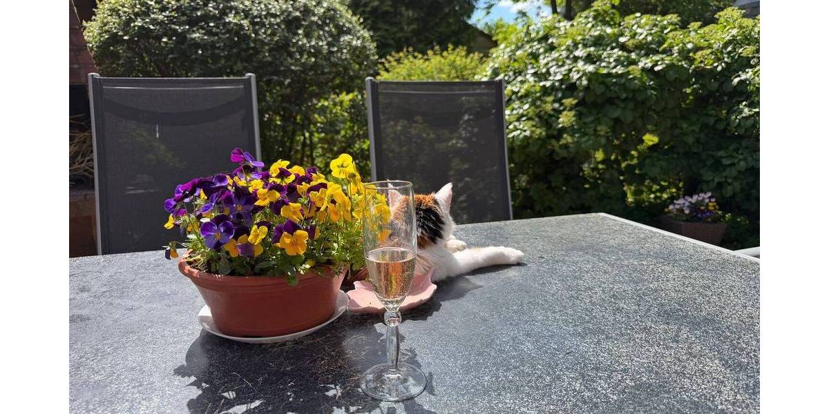 Einfamilienhaus Schiffdorf Wehdel - 6 Zimmer, 140 m&sup2;, 229.000&euro; | Angebot:26751058