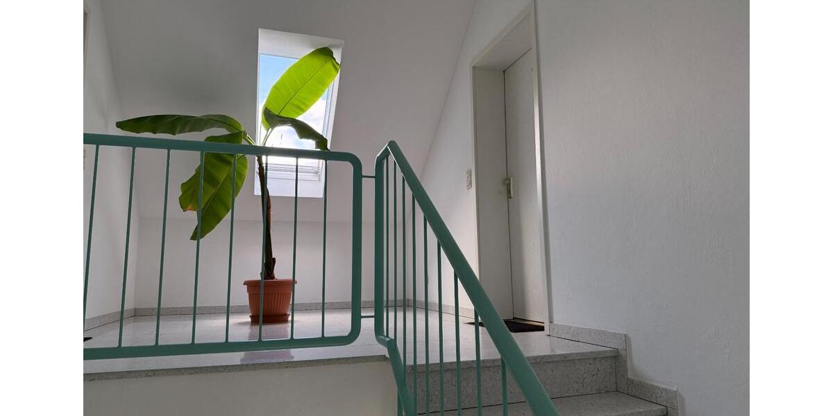 Mehrfamilienhaus, Wohnhaus Rheda-Wiedenbrück Wiedenbrück - 293.000&euro; | Angebot:25540789