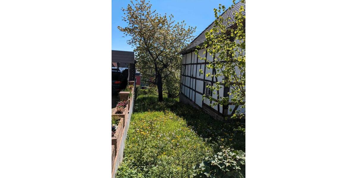 Einfamilienhaus Höxter - 40.000&euro; | Angebot:27070766