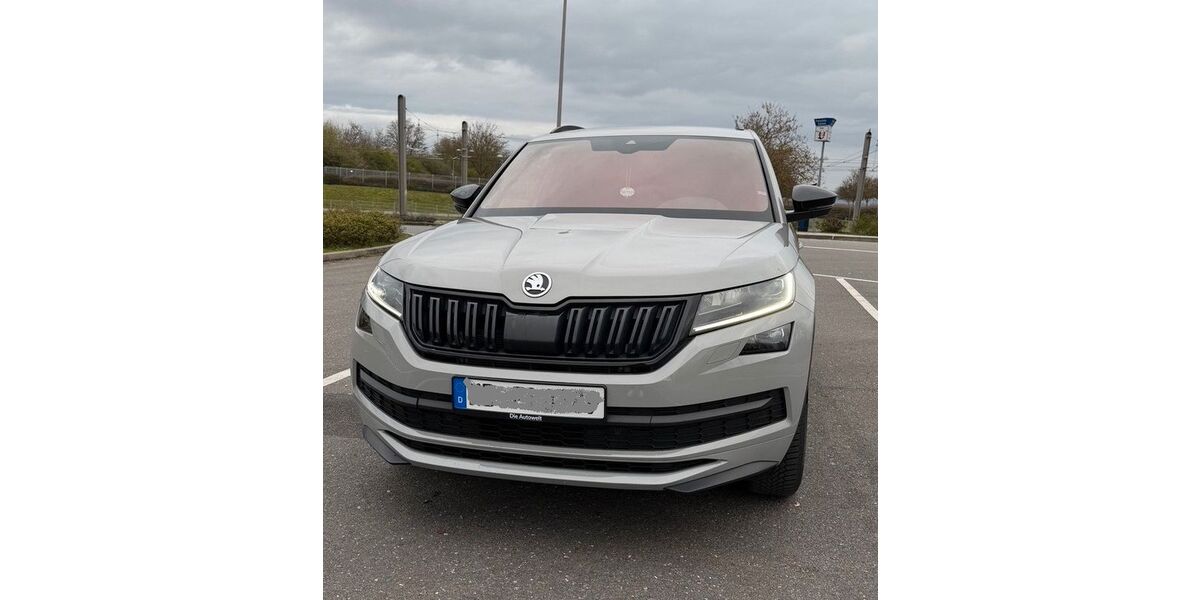 Skoda Kodiaq 115.000 km 29.900 &euro; Oftersheim 68219