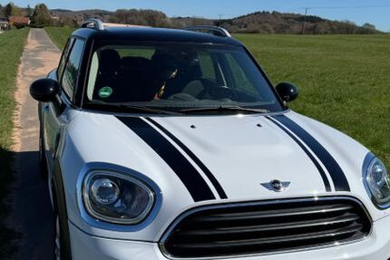 Mini Countryman D (Cooper) 139.900 km 12.900 &euro; Saarbrücken 66113