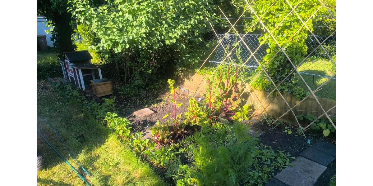 Grundstück Hilden - 60&euro; | Angebot:24992457