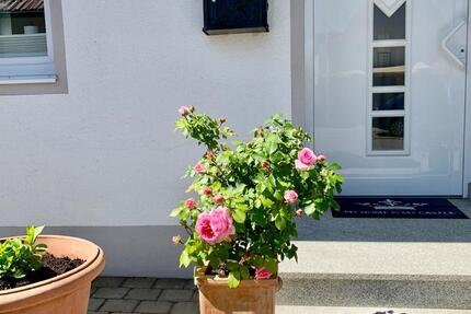 Rarität DHH in Bad Abbach am Golfplatz Lengfeld Gut Deutenhof