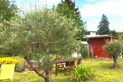 Kleine grüne Oase in der Stadt 3 zimmer