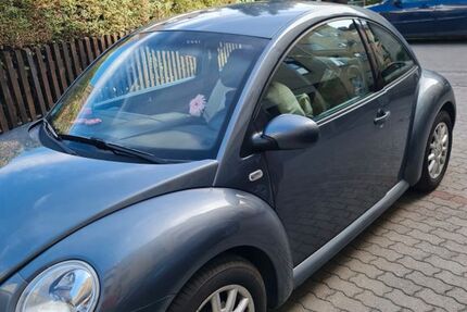 VW Beetle