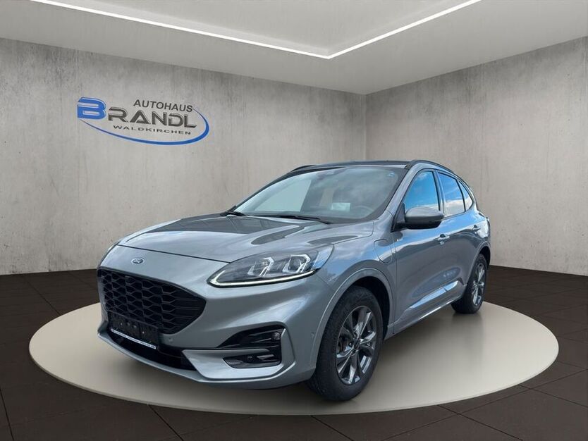 Kuga