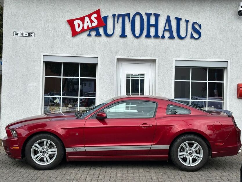 Mustang