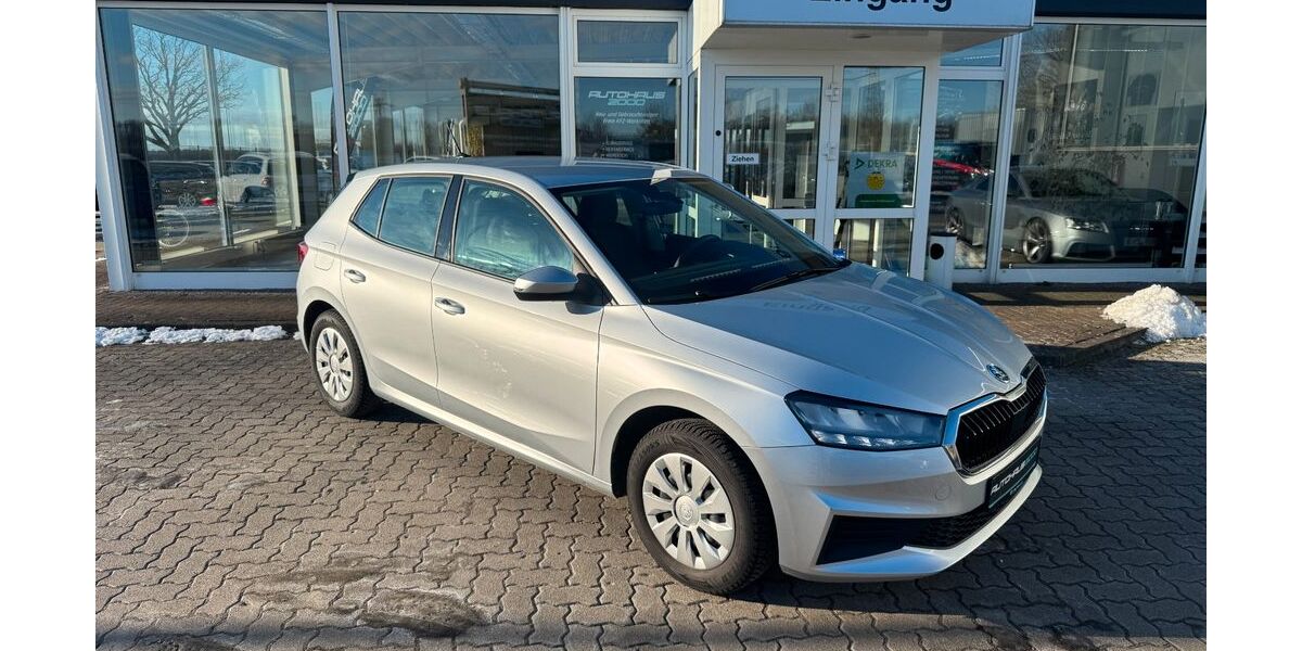 Skoda Fabia 24.115 km 14.990 &euro; Ribnitz-Damgarten 18311