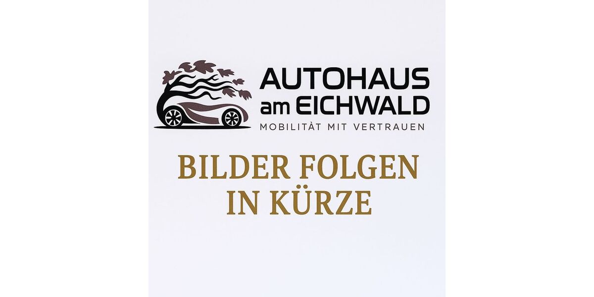 Renault Megane 116.852 km 5.990 &euro; Kassel 34123