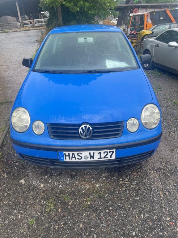 Polo
