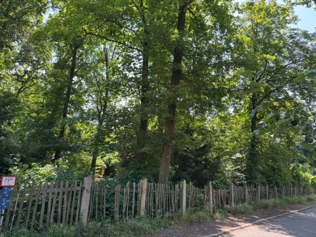 Grundstück Machern - 184.000&euro; | Angebot:23986549