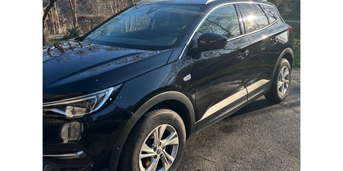 Opel Grandland (X) 106.000 km 16.500 &euro; Bad Kötzting 93444