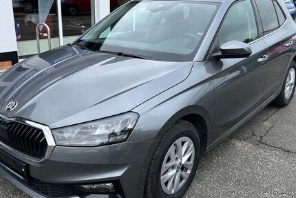 Skoda Fabia 19.162 km 17.990 &euro; Tessin 18195