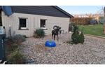 Einfamilienhaus Arnsberg Oeventrop - 5 Zimmer, 125 m&sup2;, 490.000&euro; | Angebot:27142612