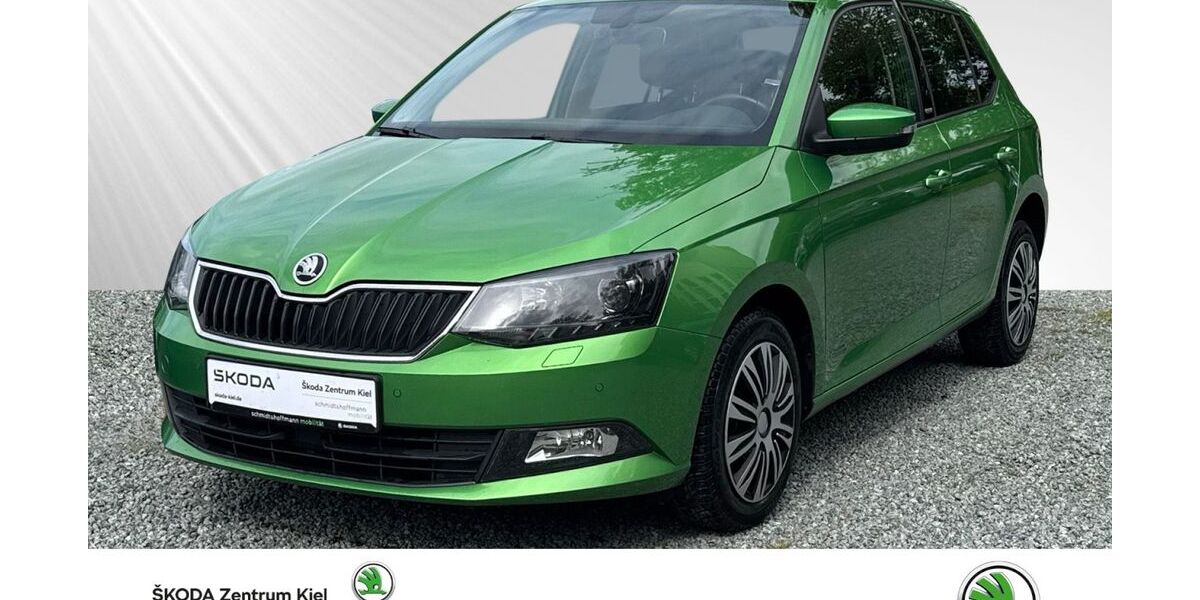 Skoda Fabia 99.800 km 9.980 &euro; Kiel 24106