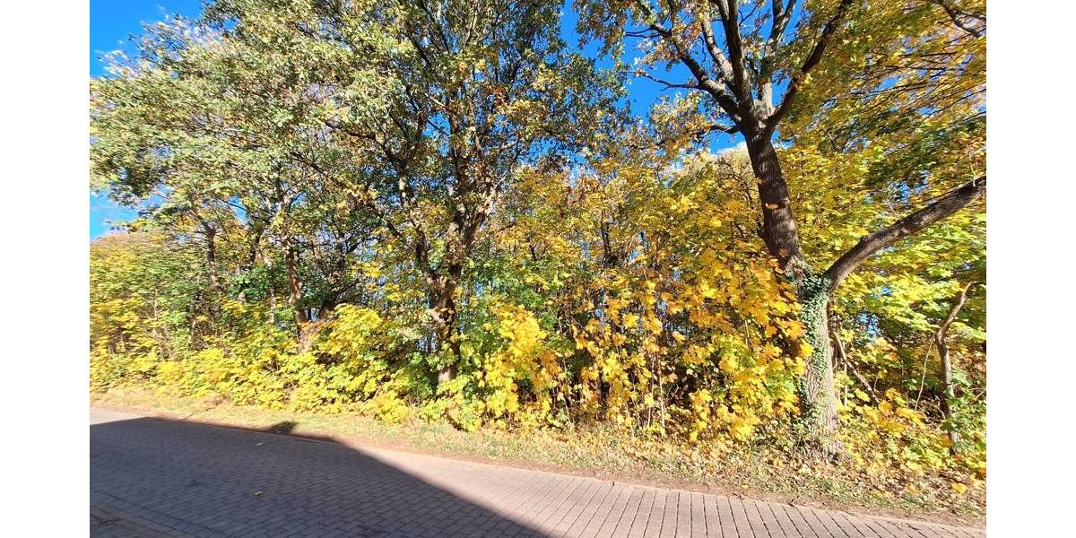 Grundstück Rietz-Neuendorf / Pfaffendorf Pfaffendorf - 63.000&euro; | Angebot:25663568