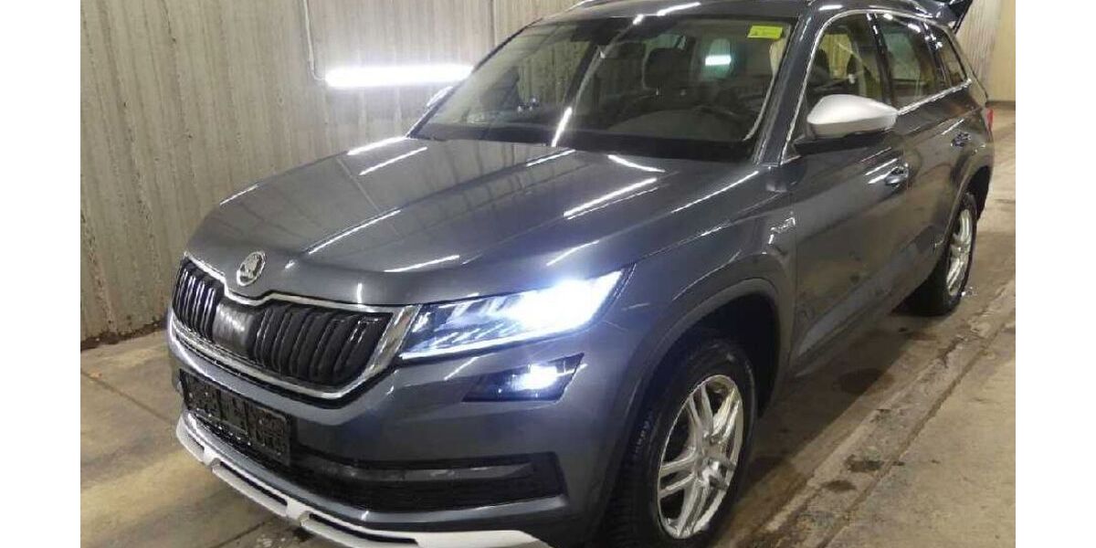 Skoda Kodiaq 242.000 km 19.278 &euro; Heidelberg 69123