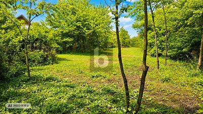 TRAUMSTÜCK IN DER FRÄNKISCHEN LANDSCHAFT - Grundstück Priesendorf | Angebot:27298088