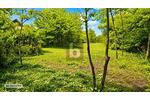 TRAUMSTÜCK IN DER FRÄNKISCHEN LANDSCHAFT - Grundstück Priesendorf | Angebot:27298088